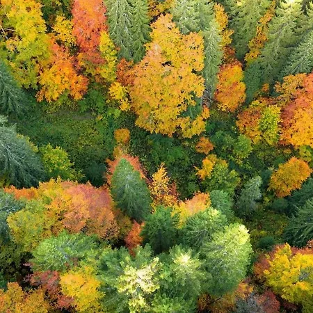 L'Orgeletaine : Grande Maison Au Milieu Des Lacs Du Jura Exterior photo