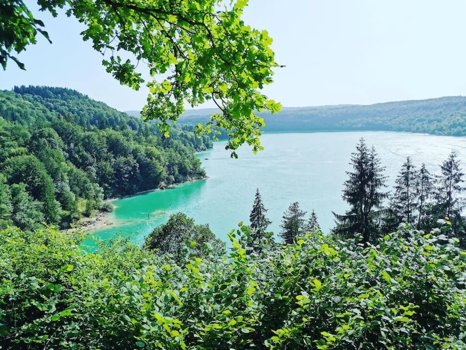 Сasa de vacaciones L'orgelétaine : Grande Maison Au Milieu Des Lacs Du Jura *