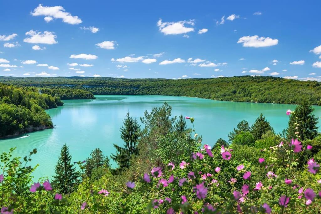 L'orgelétaine : Grande Maison Au Milieu Des Lacs Du Jura * Orgelet