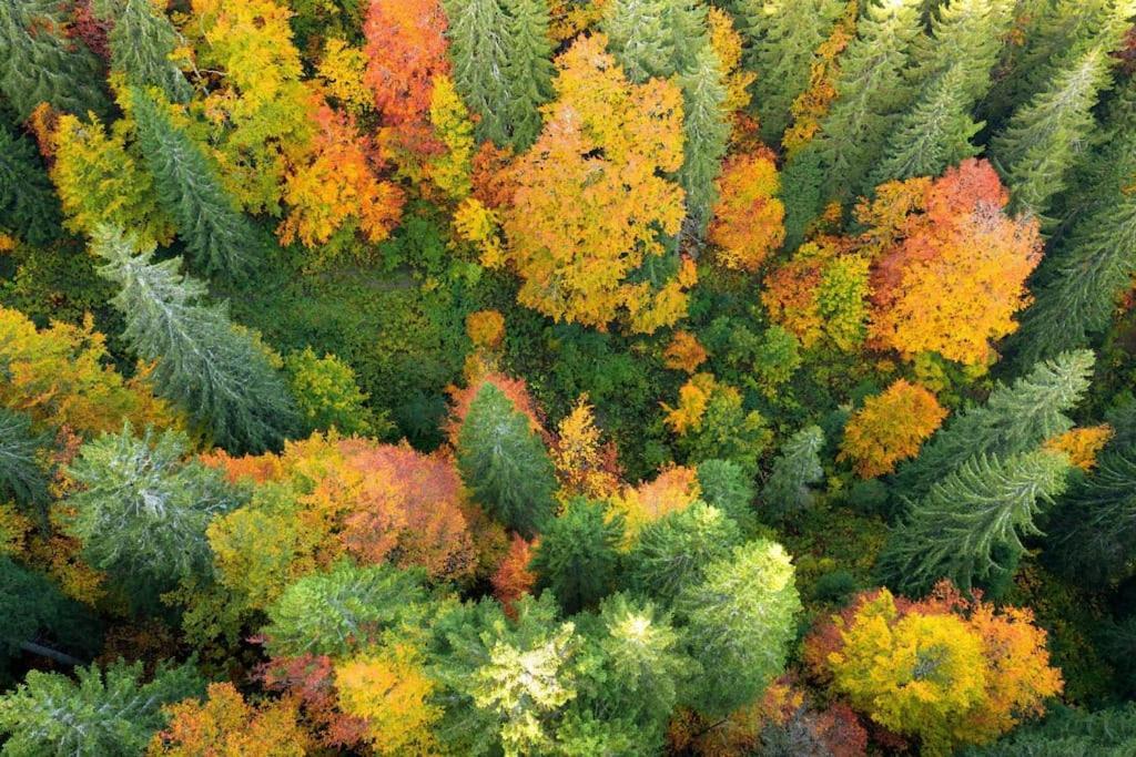 Hébergement de vacances L'orgelétaine : Grande Maison Au Milieu Des Lacs Du Jura *