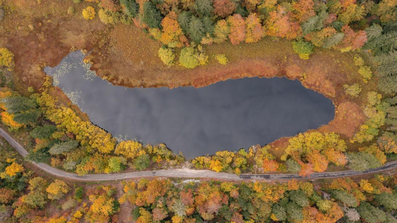 L'orgelétaine : Grande Maison Au Milieu Des Lacs Du Jura Hébergement de vacances